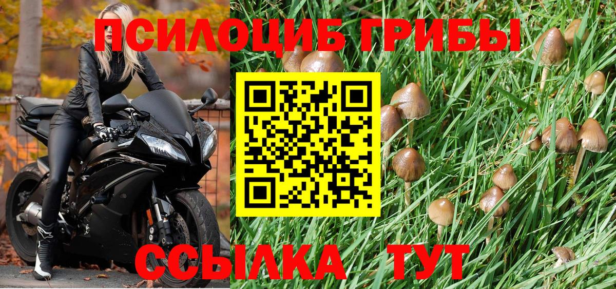 Псилоцибиновые грибы GOLDEN TEACHER Находка