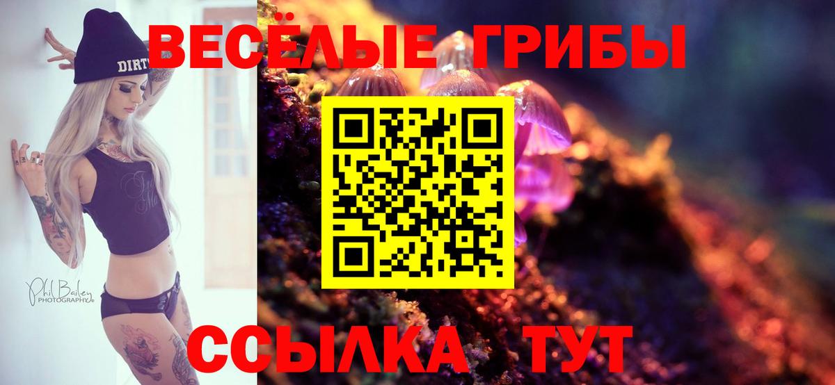 Находка  Псилоцибиновые грибы мицелий  купить закладку  Вход с VPN 